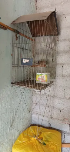 Gaiola e viveiros