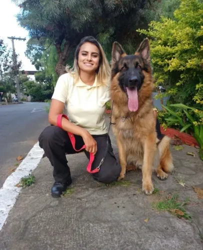 Adestramento - Eduque seu cãozinho