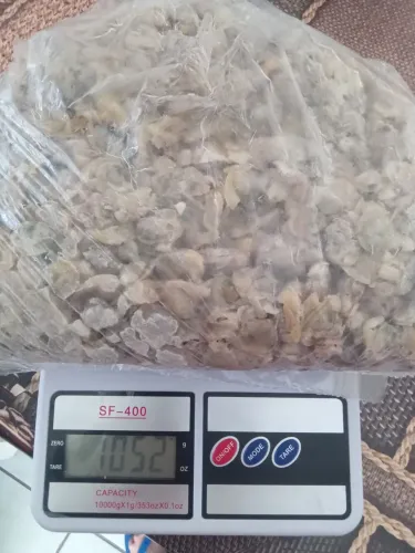 VENDO BERBIGAO