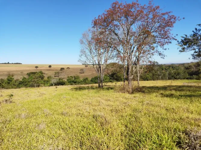 Vendo uma excelente chácara em Bela Vista de Goiás , com 20.000 m2 , R$: 235.000,00