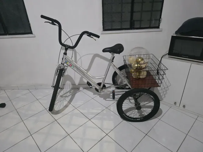 Bicicleta triciclo