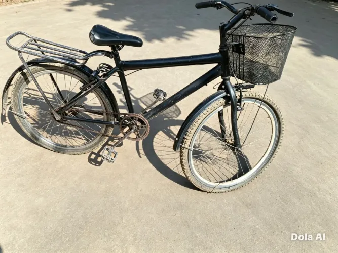 Bicicleta adulto