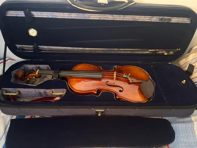 Violino Eagle Vk-544 Ajustado 