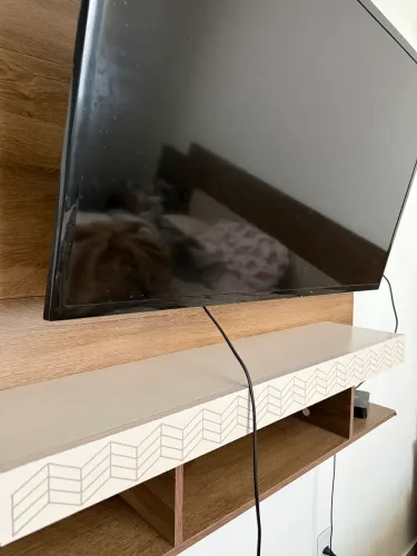 Tv Samsung Não é smart com suporte junto e Rack