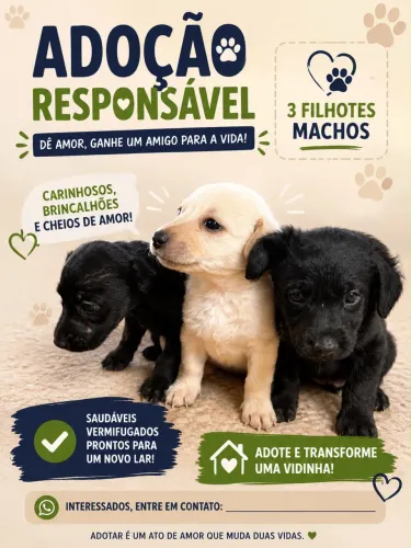 Doação Responsável 