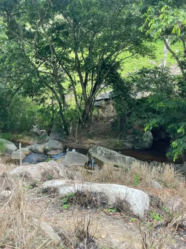 Fazenda À Venda em Atalaia