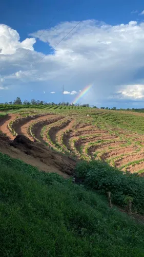 Fazenda à venda em Campanha-MG, bairro Zona Rural: 2 quartos, 1 sala, 1 banheiro, 1 vaga,