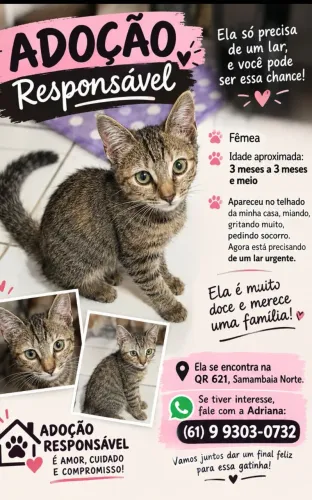 Adoção responsável