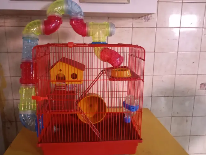 Gaiola para Hamster/Porquinho da Índia 