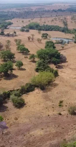 Fazenda dupla aptidão em Campina verde 