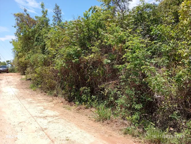 Vendo terreno 5.000 metros quadrados