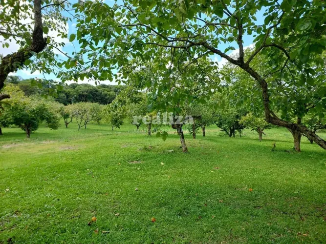 TERRENO EM GRAMADO