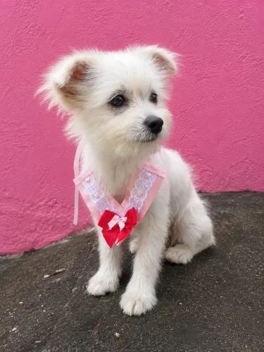 Princesinha