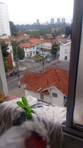 Regularização de Imóveis 