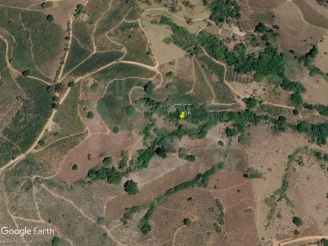 CABO VERDE/MG  Terreno Rural com 00,60,50 hectares no "Fiéis"