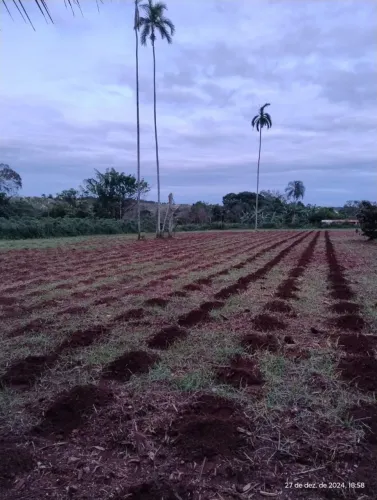 1 HECTARE C/2 ESCRITURAS INDIVIDUAIS -12 KM DO TERMINAL GARAVELO(ideal para financiamento)