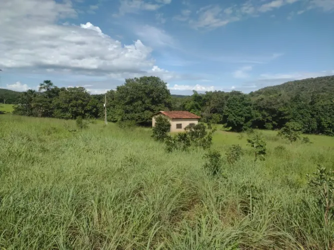 Fazenda à Venda  Goianésia/GO