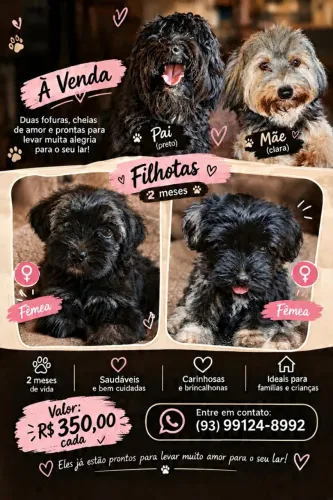 Cachorrinhos