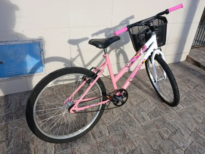 Bicicleta Femenina Aro 24