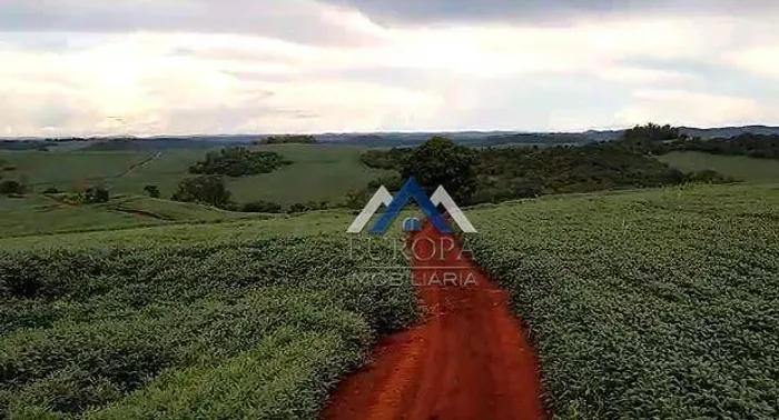 Sítio à venda, 90750 m² por R$ 1.800.000,00 - Rural - Assaí/PR