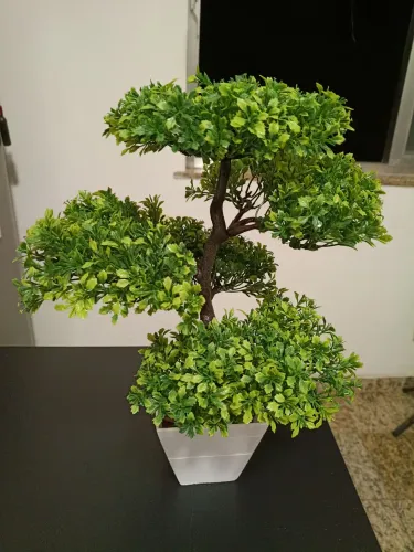 Bonsai artesanal Yamato 2