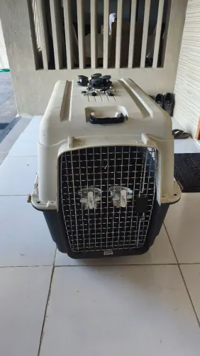 Caixa Transporte Pet N°6