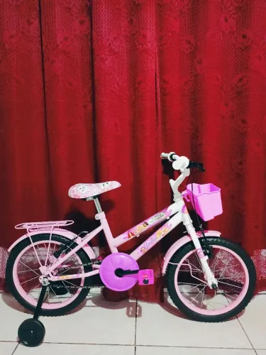 Bicicleta com garupa