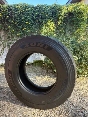 Pneu XBRI Neo Forza P1 295