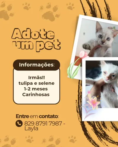 Adoção de irmãs! TULIPA E SELENE