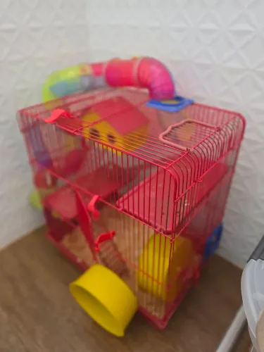 Gaiola hamster