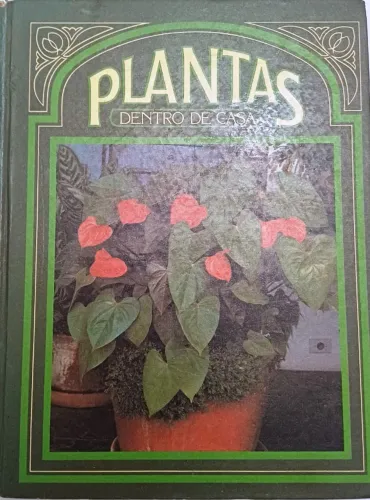 . plantas dentro de casa