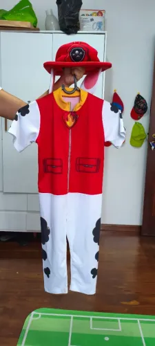 Fantasia patrulha canina 4 anos