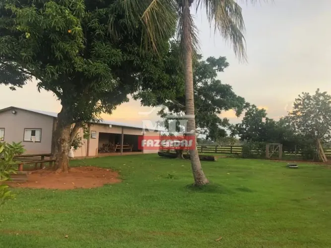 Fazenda 1.050 hectares Juina - MT