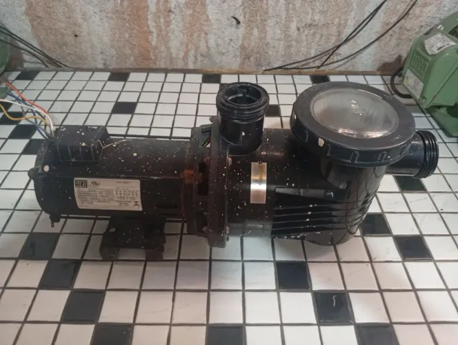 Motobomba Para Piscina Dancor PF-17 Trifásica 1 CV Motor WEG