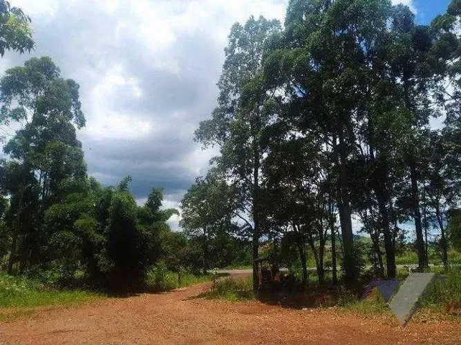 Chácara à venda, 10000 m² por R$ 1.800.000,00 - Paris - Guaraniaçu/PR
