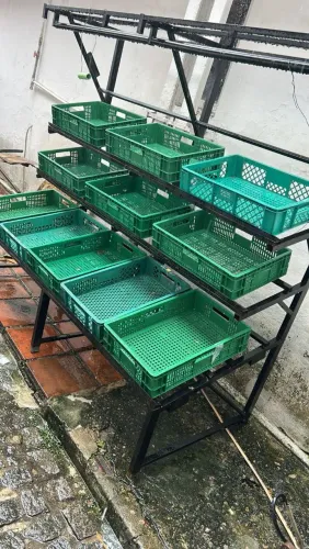 Expositor para frutas com galeia