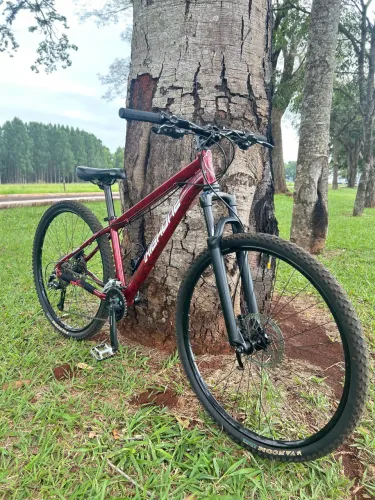 Bike aro 29