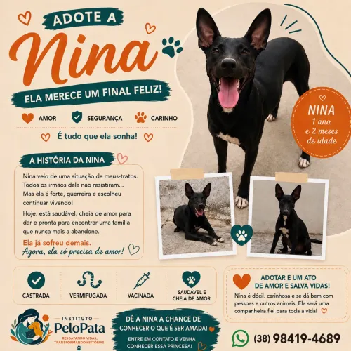 Adote Nina