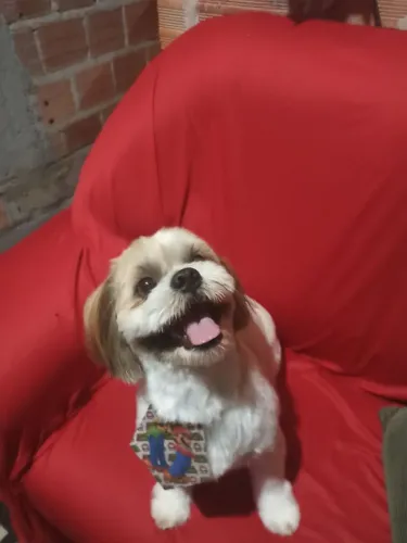 Meu nome e Thor