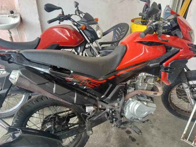 Repasso shineray shi 175 2024