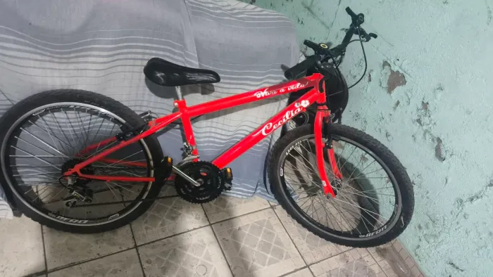Bicicleta aro 24