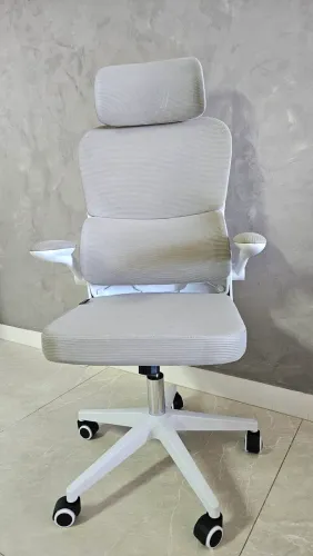 Cadeira de Escritório Ergonômica
