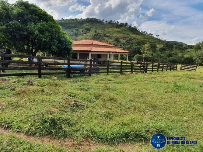Fazenda à Venda em Cocalzinho - Goiás - 54 Alqueires | Pronta para Pecuária