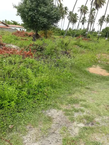 Oportunidade de Terreno em Lucena