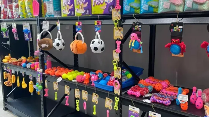 Empresa no Segmento Pet com Alto Potencial de Crescimento à Venda em SP