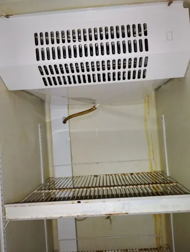 Vendo