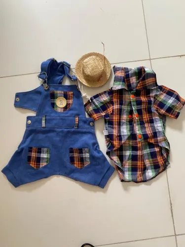 Roupa junina para cachorro pequeno