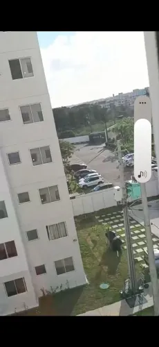 Eu so Diarista passo roupas e cozinho qualquer cardápio é marmitas congelada e so chama