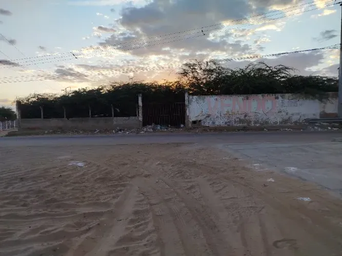 Terreno 