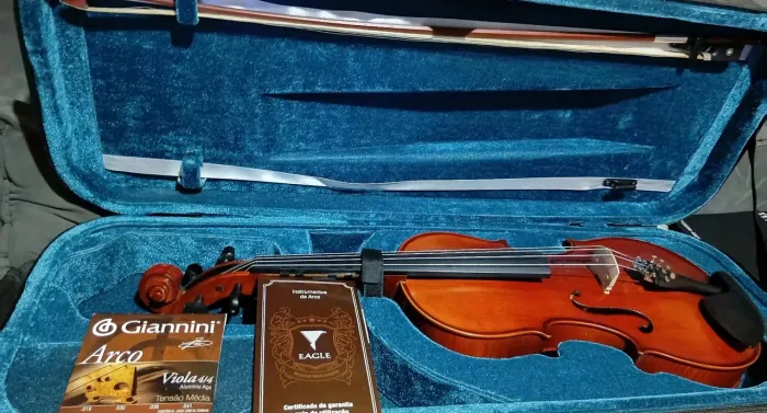 Viola de arco va 180